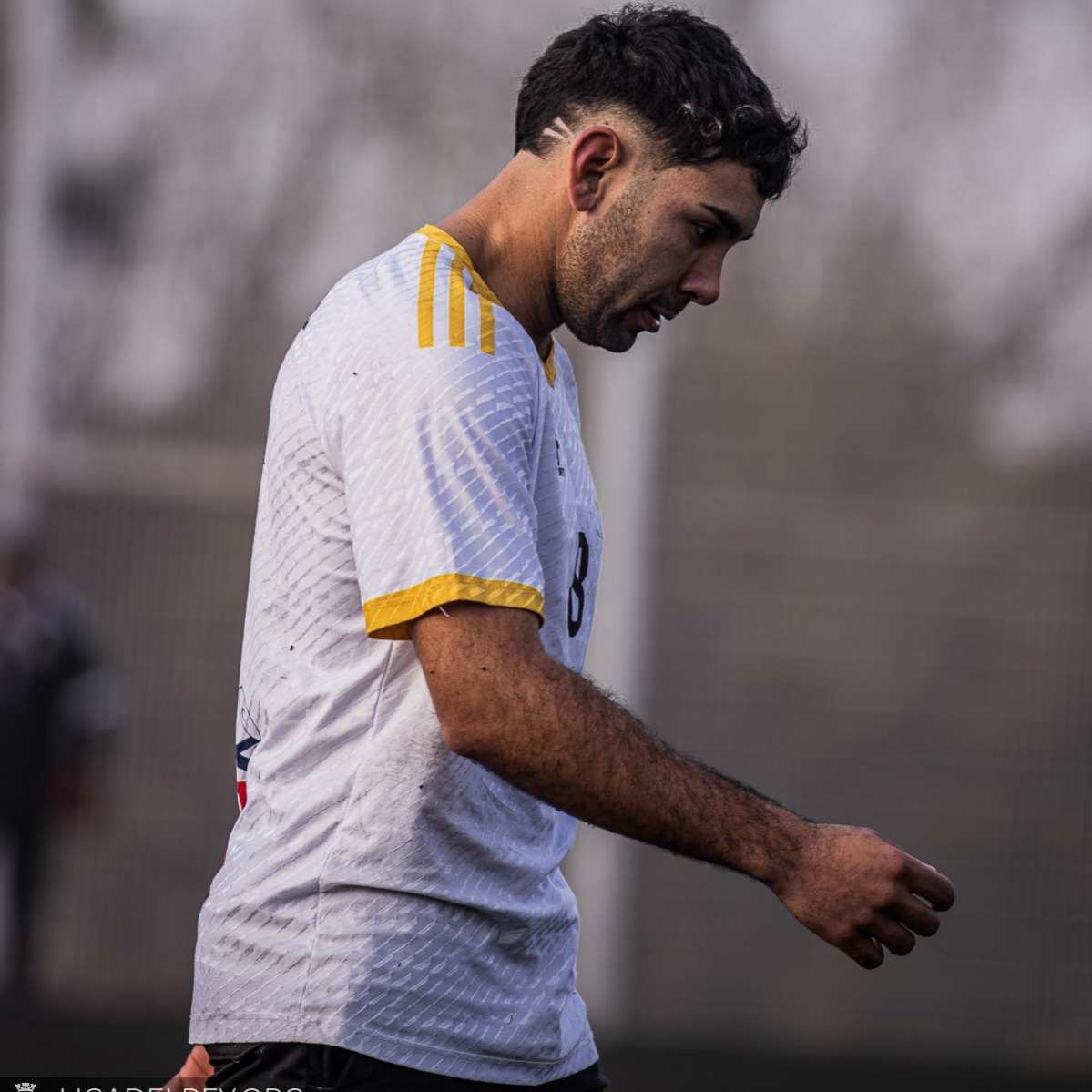 Nahuel Viana